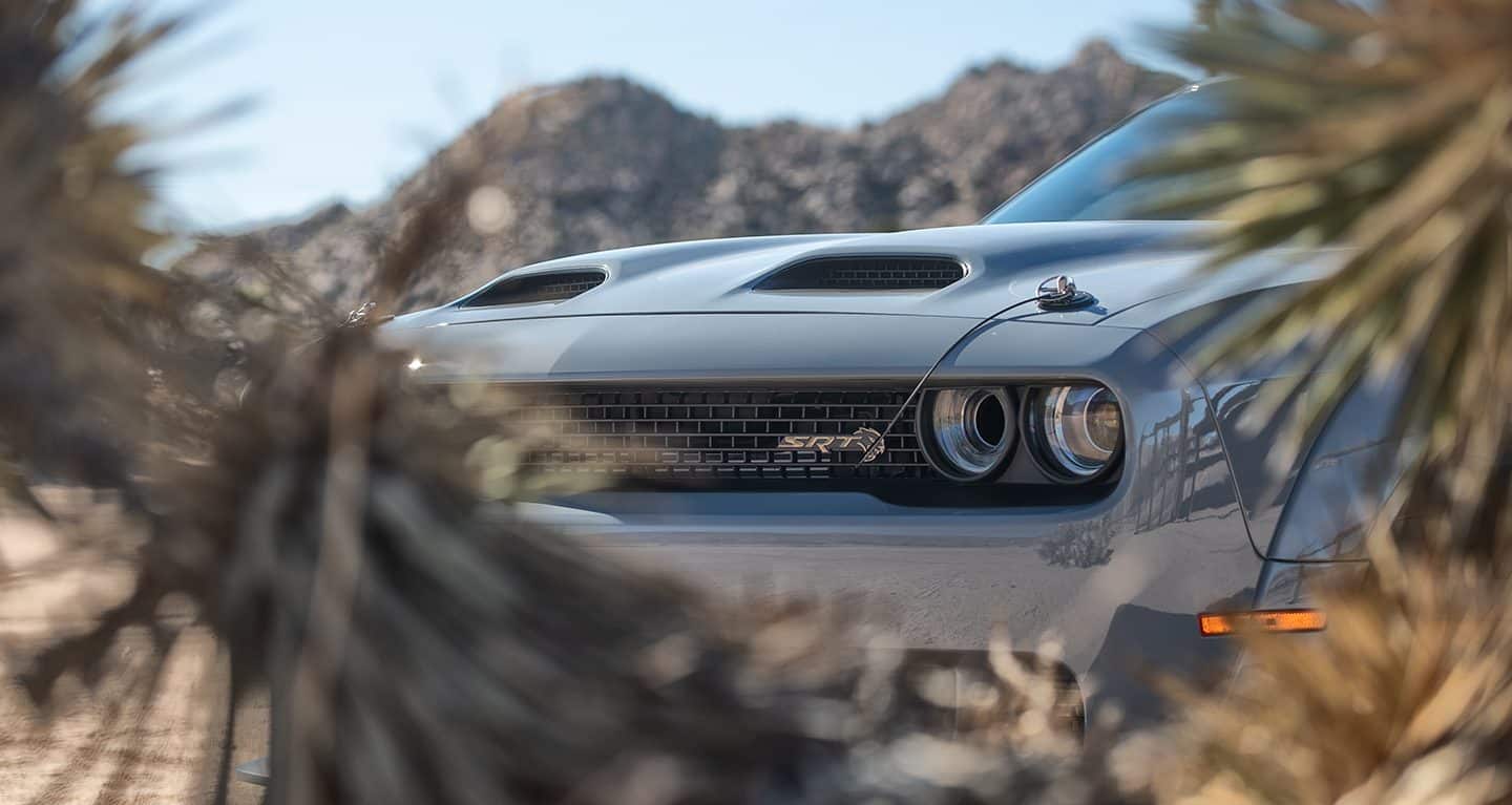 Display The front end of a 2023 Dodge Challenger SRT Hellcat partially hidden by bushes and shrubs in the foreground.