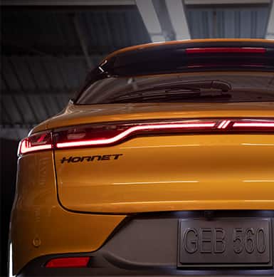 2024 Hornet